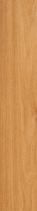 Alder grain sample