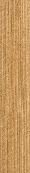 Quarter-sawn white oak grain sample